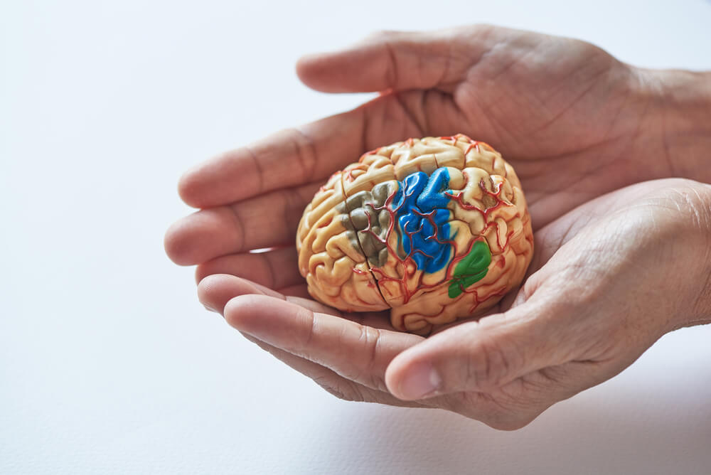 Brain Protection - Modafinil.org Brain Protection